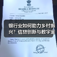 银行业如何助力乡村振兴？信贷创新与数字金融实践路径（图4）