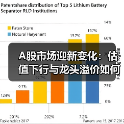 A股市场迎新变化:估值下行与龙头溢价如何影响投资策略(图1) A股市场迎新变化:估值下行与龙头溢价如何影响投资策略(图1)
