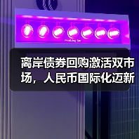 离岸债券回购激活双市场，人民币国际化迈新步？（图2）