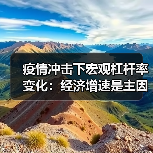 疫情冲击下宏观杠杆率变化:经济增速是主因?(图1) 疫情冲击下宏观杠杆率变化:经济增速是主因?(图1)