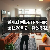 首批科创板ETF今日吸金超200亿,释放哪些信号?(图4) 首批科创板ETF今日吸金超200亿,释放哪些信号?(图4)