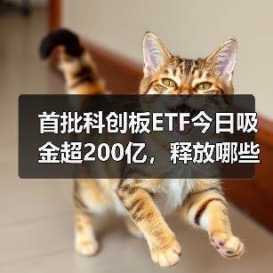 首批科创板ETF今日吸金超200亿,释放哪些信号?(图2) 首批科创板ETF今日吸金超200亿,释放哪些信号?(图2)
