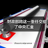 财政部将这一重任交给了中央汇金(图2) 财政部将这一重任交给了中央汇金(图2)