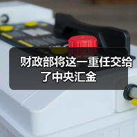 财政部将这一重任交给了中央汇金(图1) 财政部将这一重任交给了中央汇金(图1)