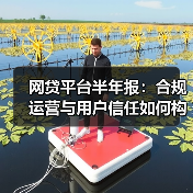 网贷平台半年报:合规运营与用户信任如何构建?出借数据解析(图2) 网贷平台半年报:合规运营与用户信任如何构建?出借数据解析(图2)