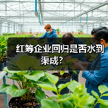 红筹企业回归是否水到渠成?(图2) 红筹企业回归是否水到渠成?(图2)