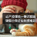 动产担保统一登记服务破解小微企业融资难题（图4）