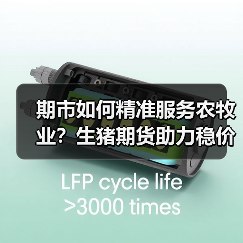 期市如何精准服务农牧业？生猪期货助力稳价新突破（图4）