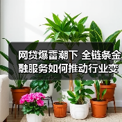 网贷爆雷潮下 全链条金融服务如何推动行业变革？（图2）