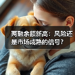 两融余额新高：风险还是市场成熟的信号？（图2）