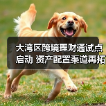 大湾区跨境理财通试点启动 资产配置渠道再拓宽(图3) 大湾区跨境理财通试点启动 资产配置渠道再拓宽(图3)