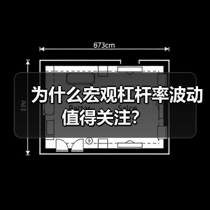 为什么宏观杠杆率波动值得关注?(图2) 为什么宏观杠杆率波动值得关注?(图2)