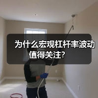 为什么宏观杠杆率波动值得关注?(图4) 为什么宏观杠杆率波动值得关注?(图4)