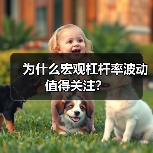为什么宏观杠杆率波动值得关注?(图1) 为什么宏观杠杆率波动值得关注?(图1)