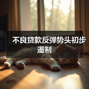 不良贷款反弹势头初步遏制（图4）