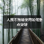 人民币跨境使用如何重点突破(图3) 人民币跨境使用如何重点突破(图3)