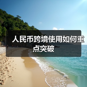 人民币跨境使用如何重点突破(图4) 人民币跨境使用如何重点突破(图4)