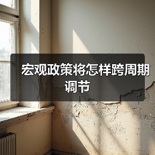 宏观政策将怎样跨周期调节(图2) 宏观政策将怎样跨周期调节(图2)