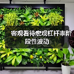 客观看待宏观杠杆率阶段性波动(图2) 客观看待宏观杠杆率阶段性波动(图2)