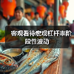 客观看待宏观杠杆率阶段性波动(图4) 客观看待宏观杠杆率阶段性波动(图4)