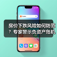 房价下跌风险如何防范?专家警示负资产危机(图4) 房价下跌风险如何防范?专家警示负资产危机(图4)