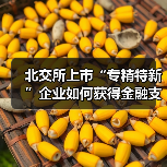 北交所上市“专精特新”企业如何获得金融支持?(图2) 北交所上市“专精特新”企业如何获得金融支持?(图2)
