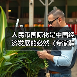 人民币国际化是中国经济发展的必然(专家解读)(图2) 人民币国际化是中国经济发展的必然(专家解读)(图2)