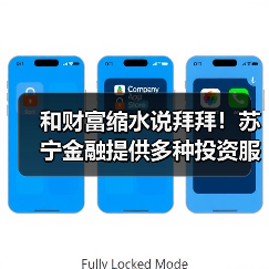 和财富缩水说拜拜!苏宁金融提供多种投资服务让你钱生钱(图4) 和财富缩水说拜拜!苏宁金融提供多种投资服务让你钱生钱(图4)