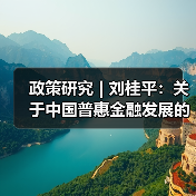 政策研究 | 刘桂平：关于中国普惠金融发展的几个问题（图2）