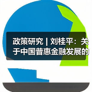政策研究 | 刘桂平：关于中国普惠金融发展的几个问题（图3）