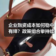 企业融资成本如何稳中有降？政策组合拳持续发力关键在哪？（图3）