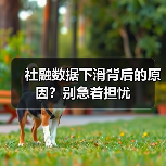 社融数据下滑背后的原因?别急着担忧(图2) 社融数据下滑背后的原因?别急着担忧(图2)