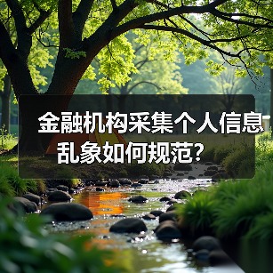 金融机构采集个人信息乱象如何规范?(图3) 金融机构采集个人信息乱象如何规范?(图3)