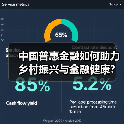 中国普惠金融如何助力乡村振兴与金融健康？
