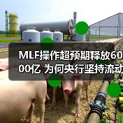 MLF操作超预期释放6000亿 为何央行坚持流动性合理充裕?(图1) MLF操作超预期释放6000亿 为何央行坚持流动性合理充裕?(图1)