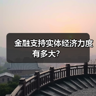 金融支持实体经济力度有多大?(图3) 金融支持实体经济力度有多大?(图3)