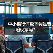 中小银行评级下调是普遍现象吗?(图2) 中小银行评级下调是普遍现象吗?(图2)