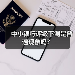 中小银行评级下调是普遍现象吗?(图3) 中小银行评级下调是普遍现象吗?(图3)