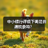 中小银行评级下调是普遍现象吗?(图4) 中小银行评级下调是普遍现象吗?(图4)