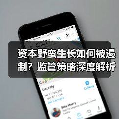 资本野蛮生长如何被遏制？监管策略深度解析（图2）