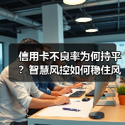 信用卡不良率为何持平？智慧风控如何稳住风险底线？（图2）