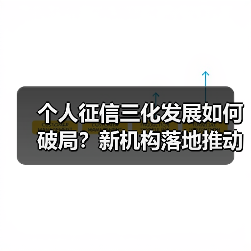 个人征信三化发展如何破局？新机构落地推动行业规范