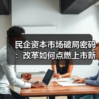 民企资本市场破局密码：改革如何点燃上市新潮？（图4）