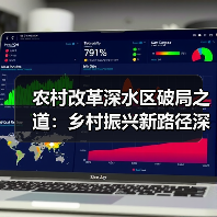农村改革深水区破局之道：乡村振兴新路径深度解析（图3）