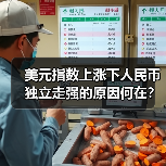 美元指数上涨下人民币独立走强的原因何在？（图4）