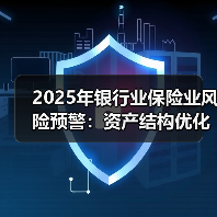2025年银行业保险业风险预警：资产结构优化与风险管控要点