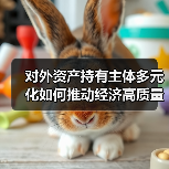 对外资产持有主体多元化如何推动经济高质量发展（图2）