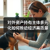 对外资产持有主体多元化如何推动经济高质量发展（图4）