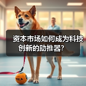 资本市场如何成为科技创新的助推器？