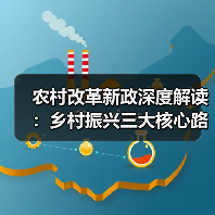 农村改革新政深度解读:乡村振兴三大核心路径揭秘(图2) 农村改革新政深度解读:乡村振兴三大核心路径揭秘(图2)